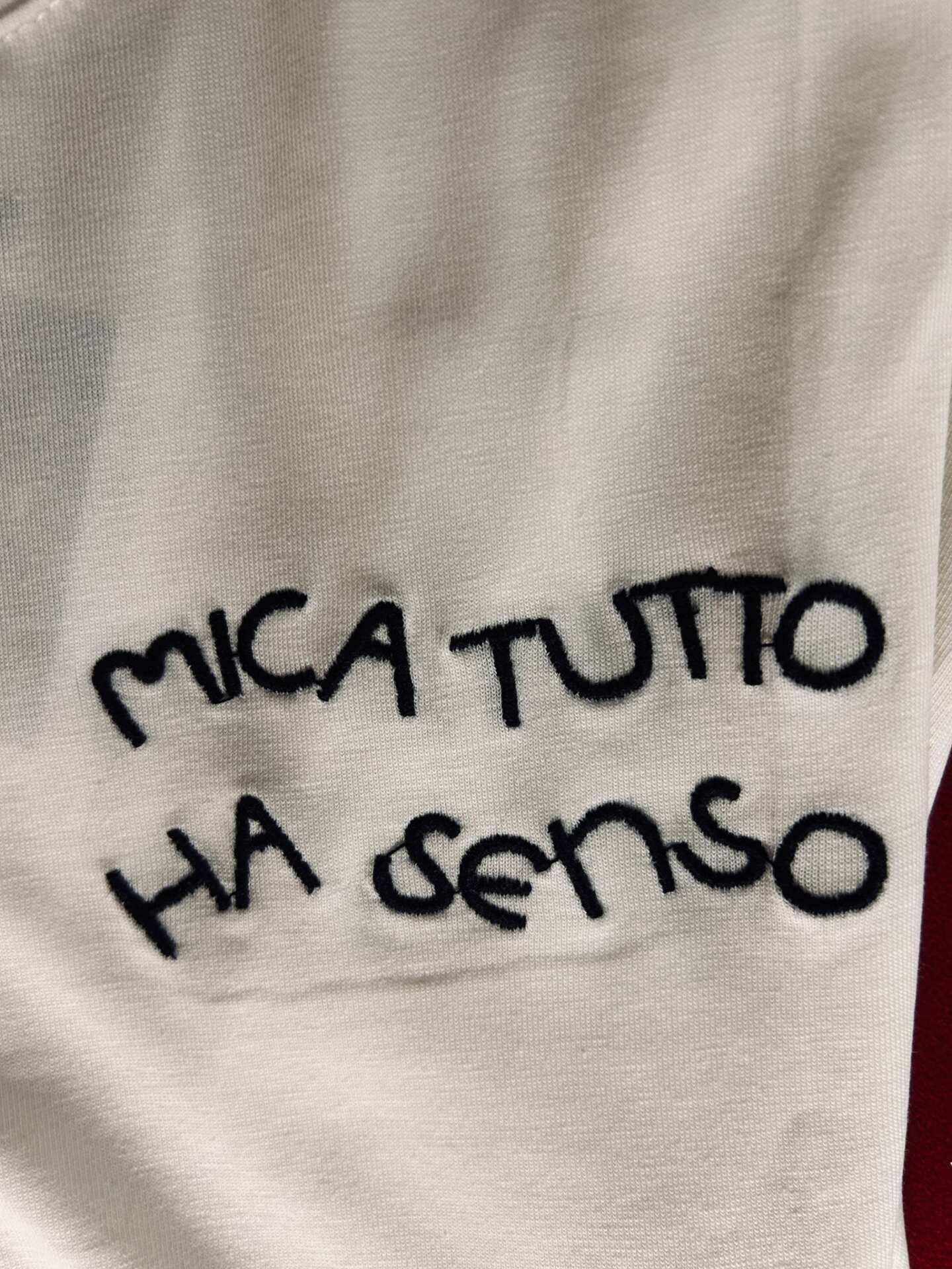 T-shirt mica tutto ha senso
